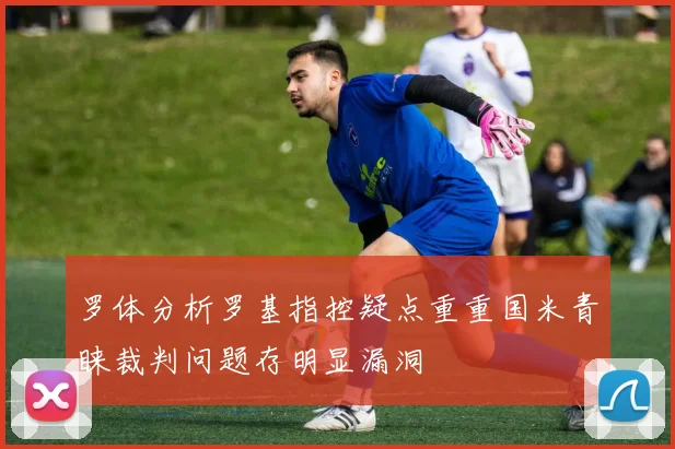 罗体分析罗基指控疑点重重国米青睐裁判问题存明显漏洞
